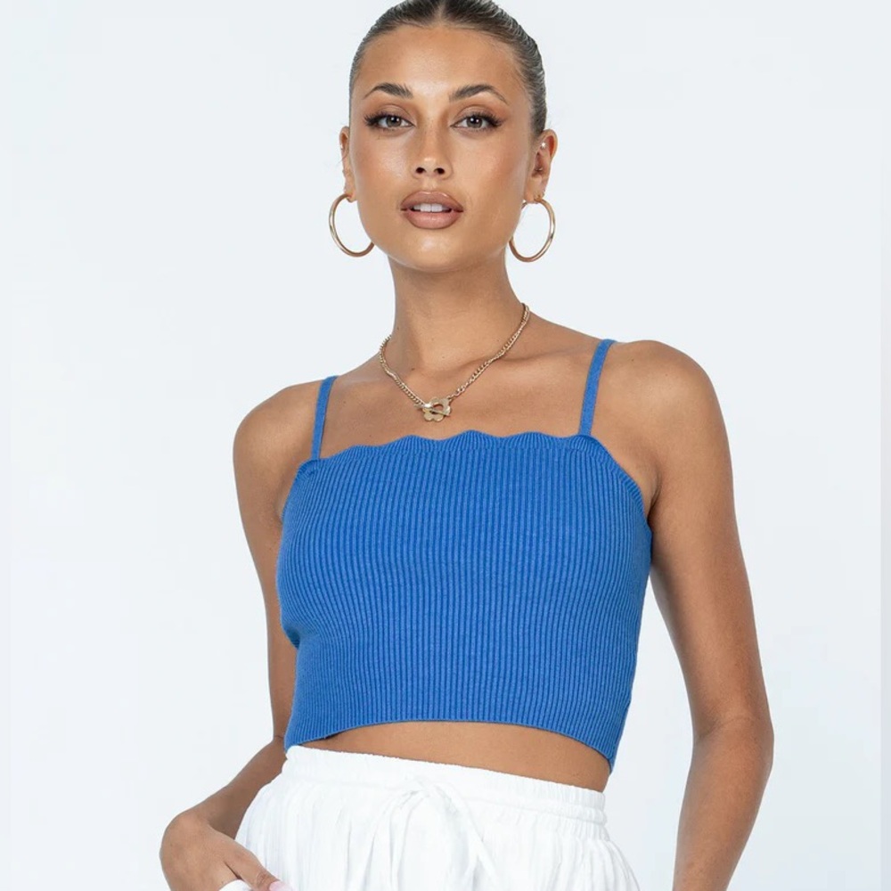 REINA TOP BLUE NWOT Princess Polly